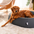 Brooklyn® Cooling Nest Dog Bed