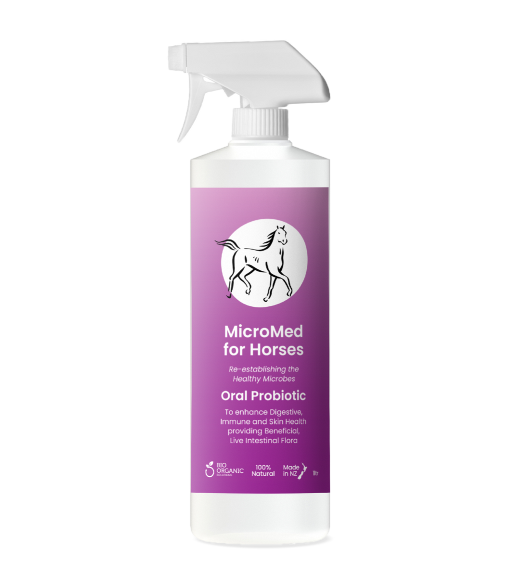 MicroMed for Horses Everyday Care