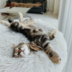 Brooklyn® Deep Sleep Cat Bed