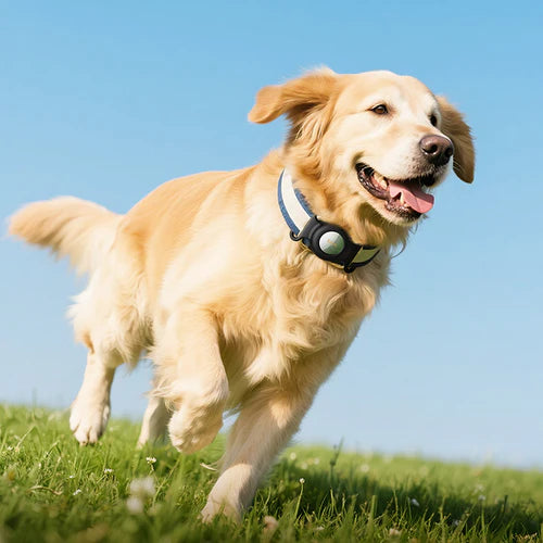 Smart Wireless Pet Tracker Tag w/ 9-12 Months Battery Life, Comfortable Collar