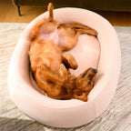 Brooklyn® Cooling Nest Dog Bed
