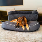 Brooklyn® Chew Resistant Luxe Lounger (2-in-1 Dog Bed)