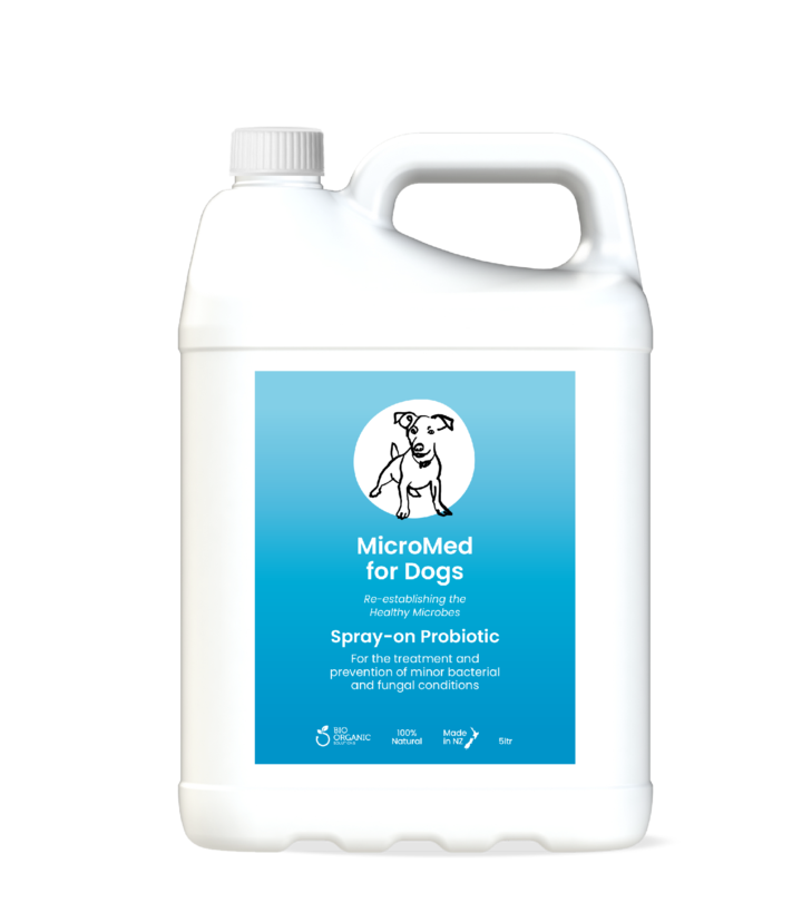 MicroMed for Dogs Acute Care