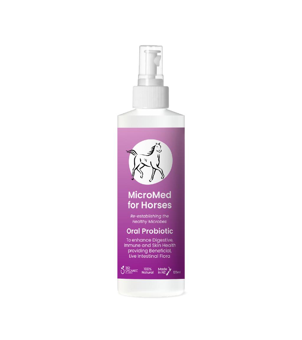 MicroMed for Horses Everyday Care