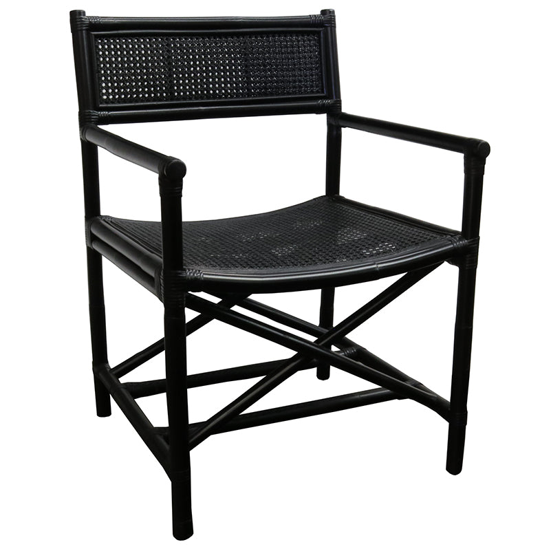 Director Chair