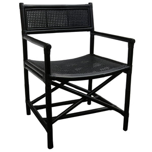 Director Chair