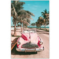 BroDeals Wall Art Framed Canvas Art - Classic Pink