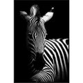BroDeals Wall Art Framed Canvas Art - Stripes