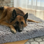 Brooklyn® Ultra Memory Foam Bed