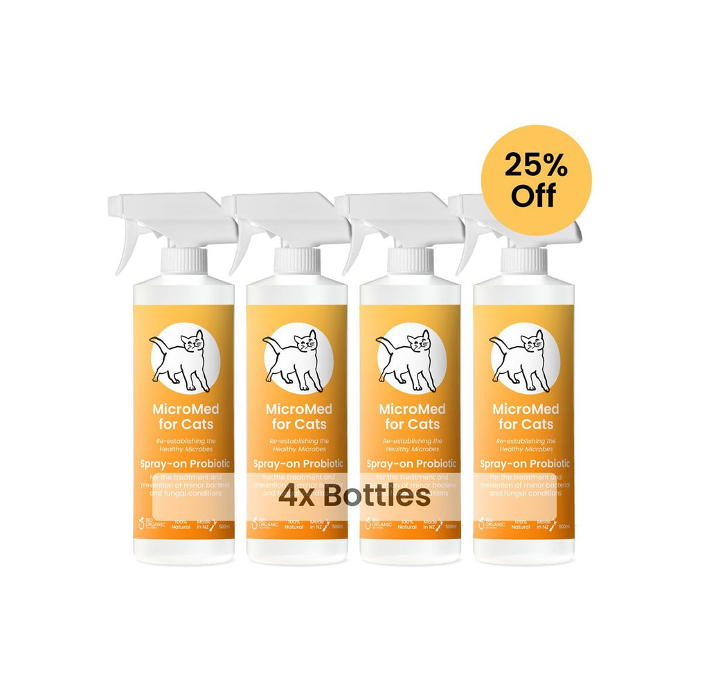 MicroMed for Cats Acute Care