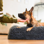 Brooklyn® Memory Foam Bolster Bed