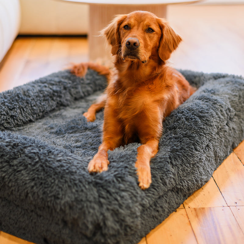 Brooklyn® Memory Foam Bolster Bed