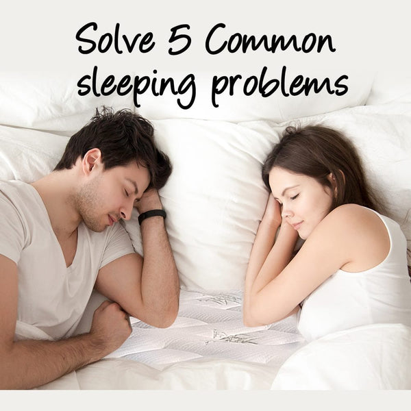 Bro Deals Mattresses Queen Mattress - Eurotop